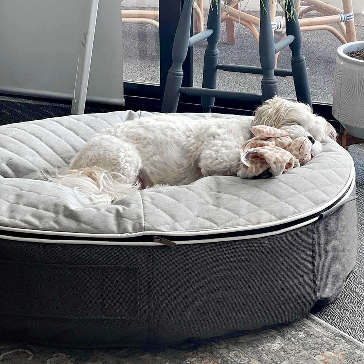 Pet Lounge Dog Beds 01