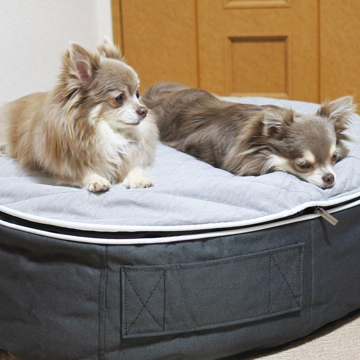 Pet Lounge Dog Beds 37