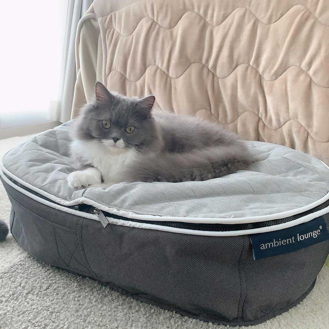 Pet Lounge Dog Beds 45
