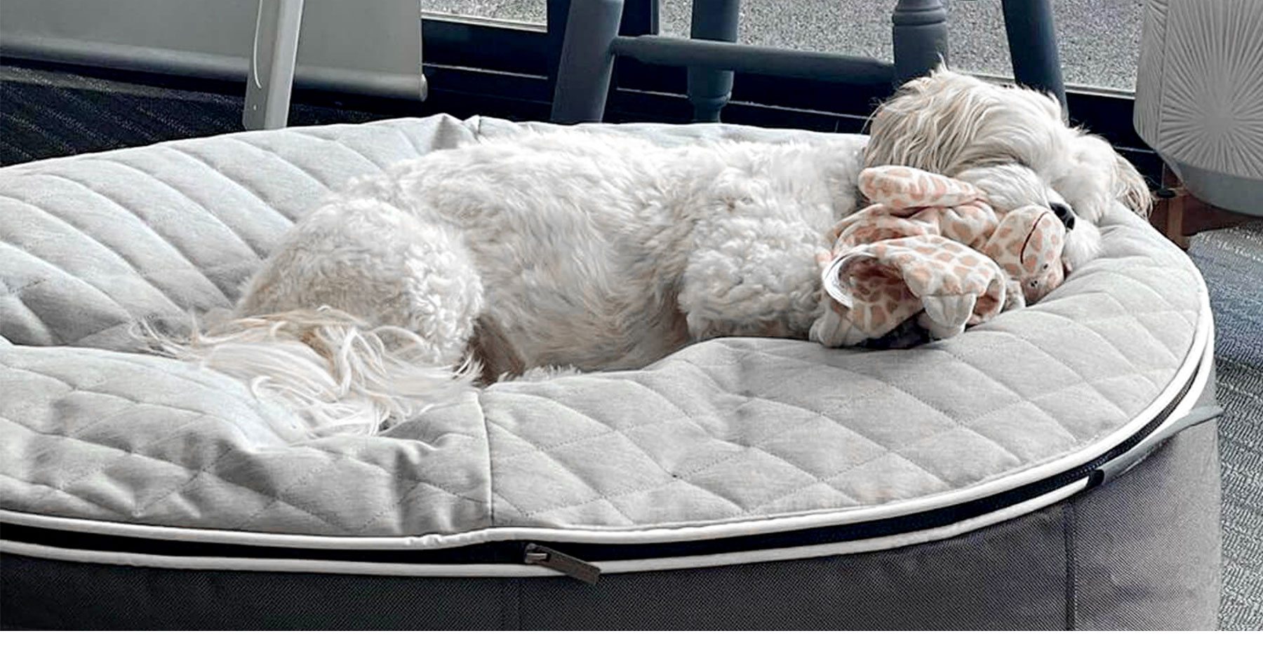 Pet Lounge Dog Beds - CoolQuilt Top