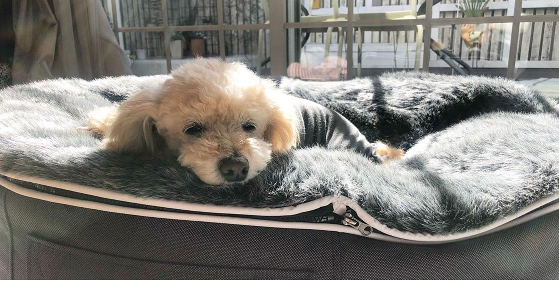 Pet Lounge Dog Beds - Faux Fur Top
