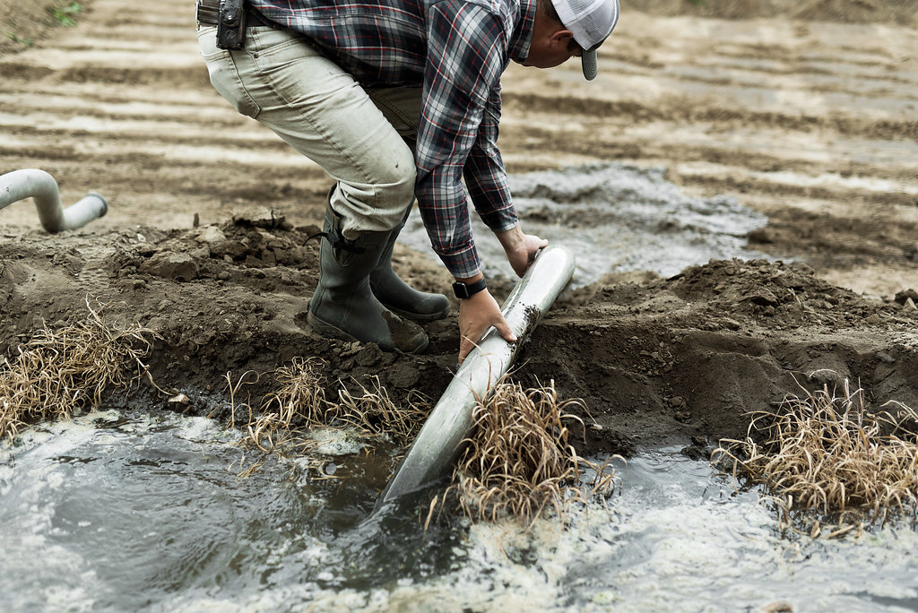 About Us McFarland Family Farms