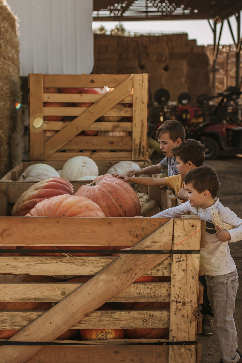The Historic Monastery UPick Pumpkin Patch McFarland Family Farms