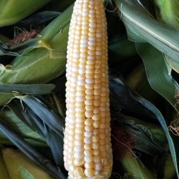 Mcfarland Family Farms Produce Stand Locations McFarland Family Farms